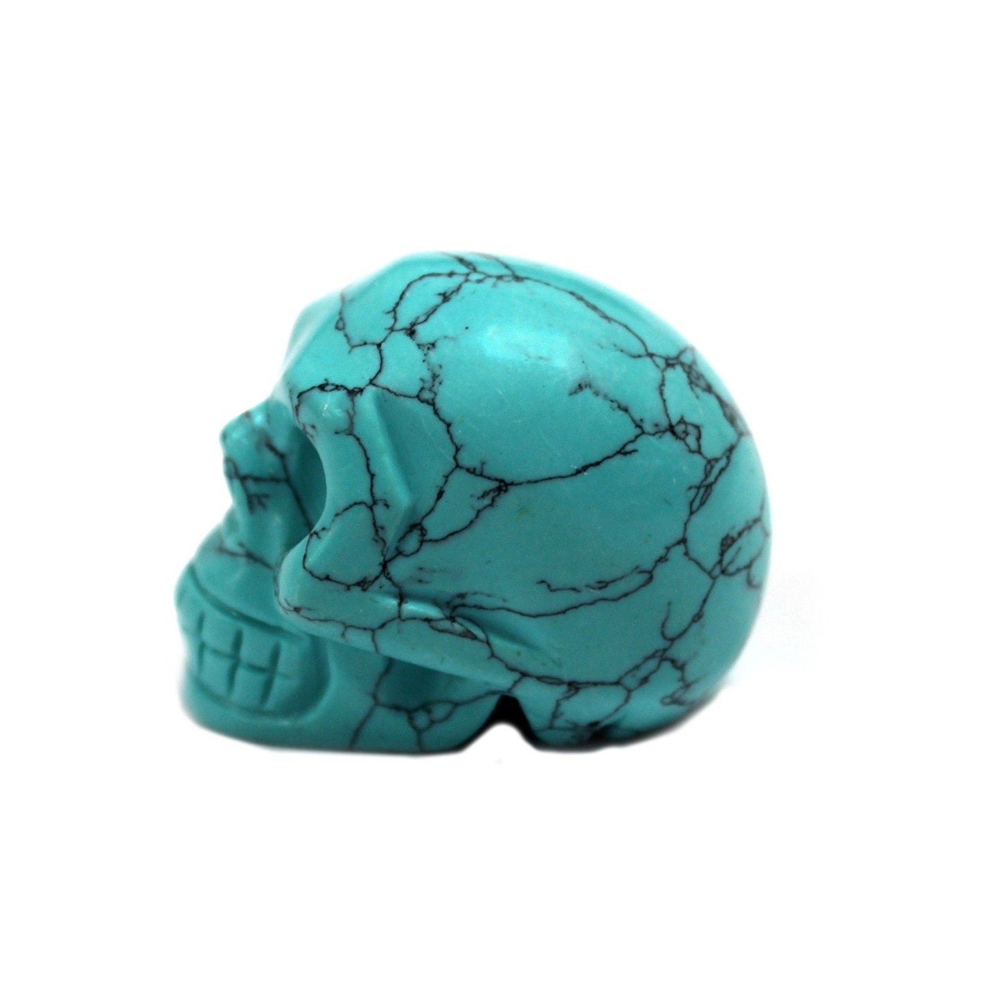 Gemstone Skull - Turquiose